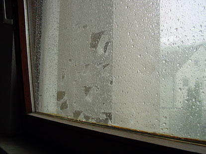 Hagel zerstrt Insektengitter