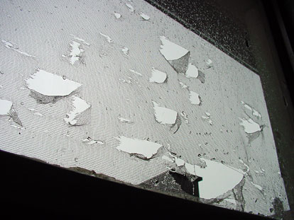 Hagel zerstrt Insektengitter