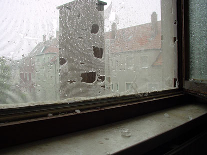 Hagel zerstrt Insektengitter